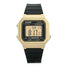 Casio Acqua