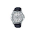 Casio Standard