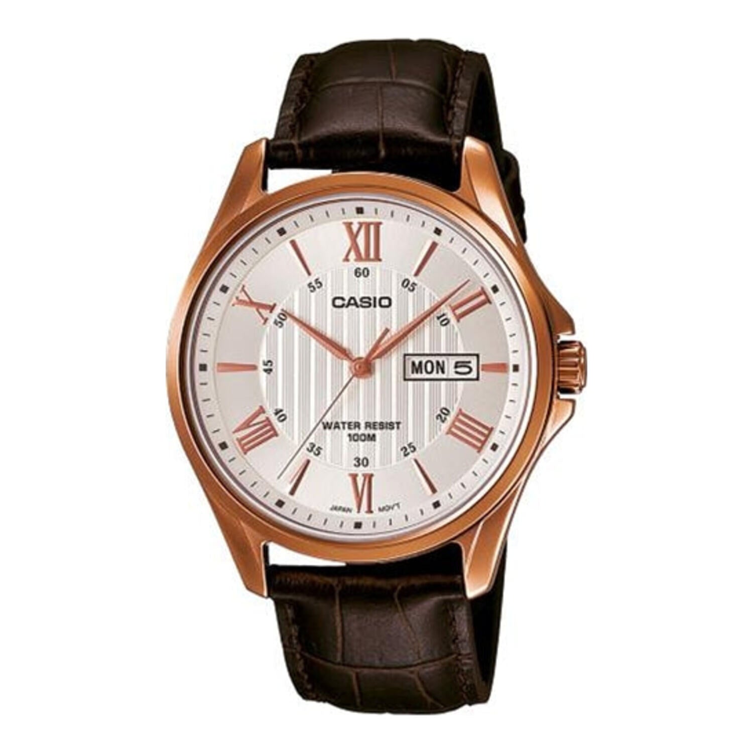 Casio Standard Analog