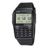 Casio Vintage Databank