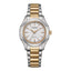 Eco-Drive Sport (FE series)
