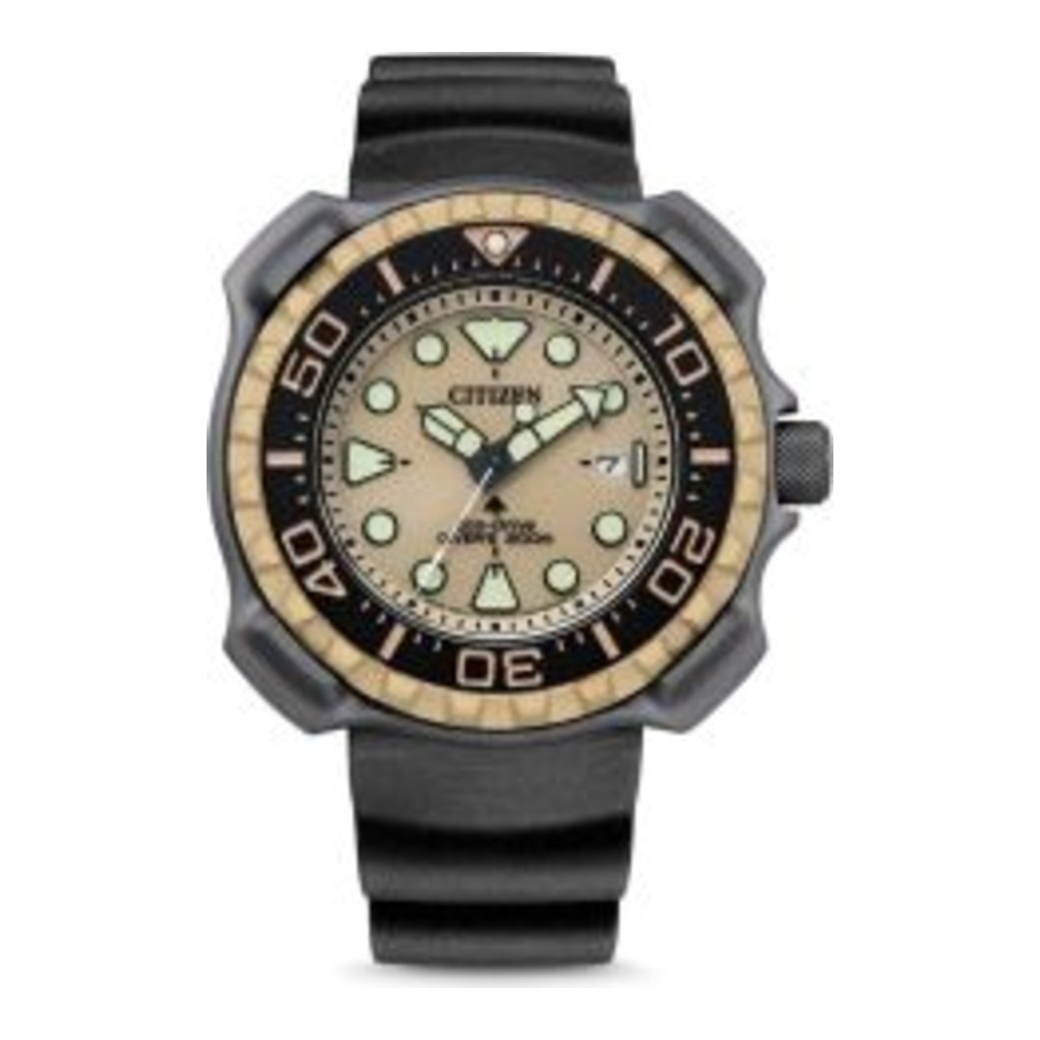 Citoyen Promaster Marine (BN0226)