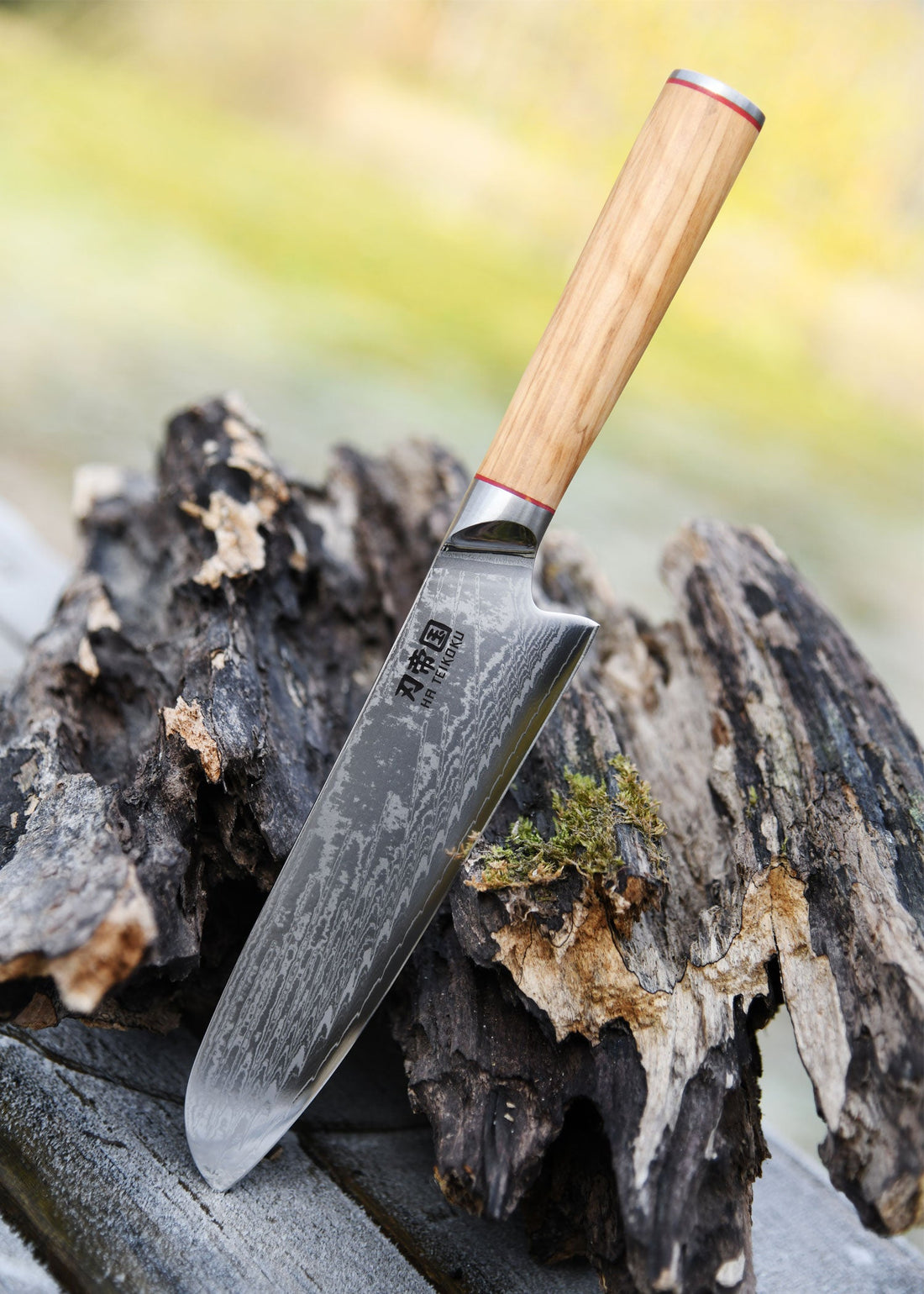 Edles Santoku: 67 Lagen Damast &amp; Olivenholz