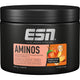 esn aminos 280g