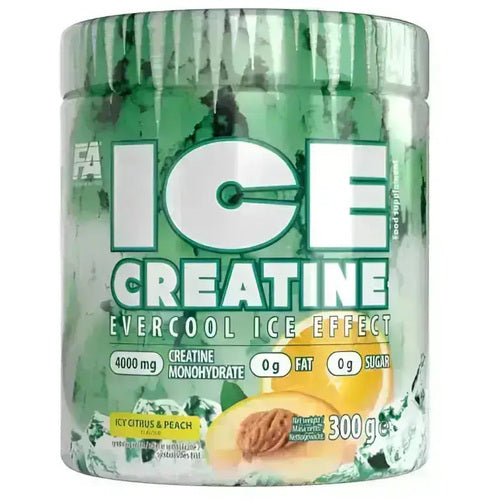 Fa Nutrition Ice Creatine 300 g Mangue Fruit de la Passion