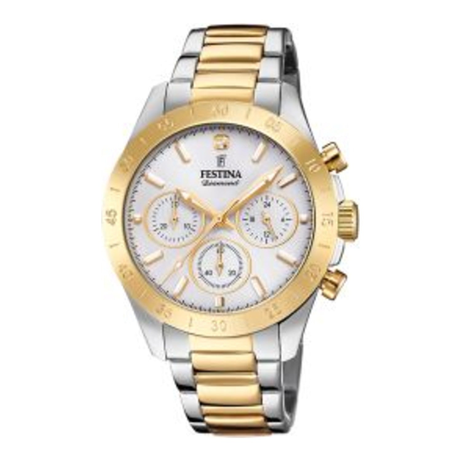 Petit ami Festina