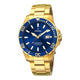 Diver