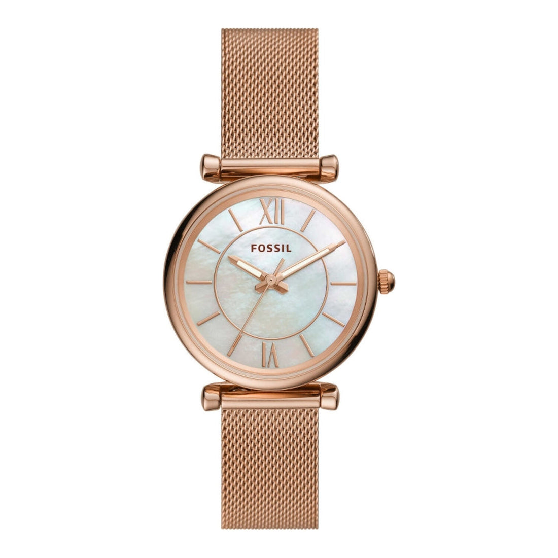 Fossil Carlie