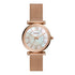 Fossil Carlie