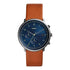 Fossil Chase Timer