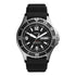 Fossil FB 02