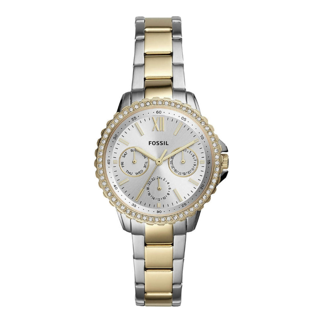 Fossil Izzy