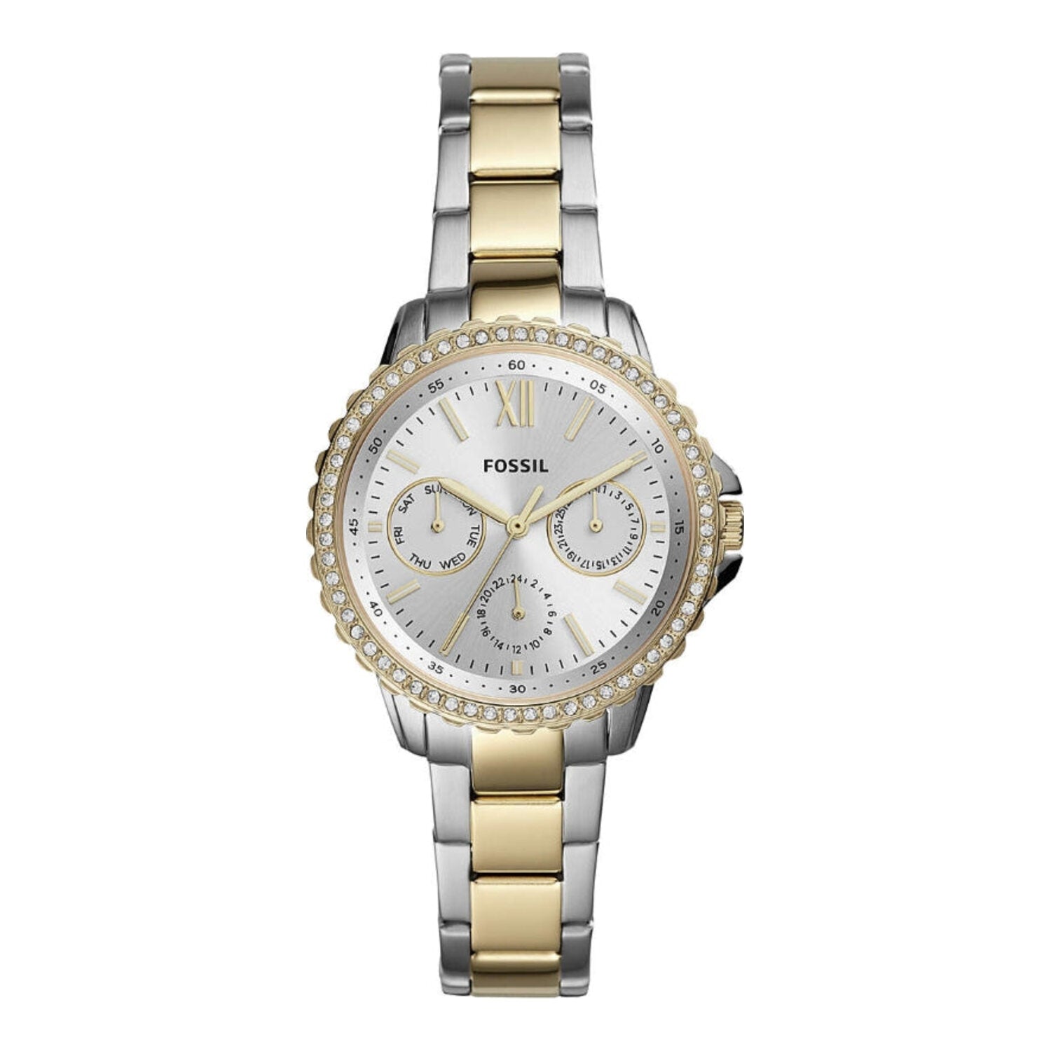 Fossil Izzy