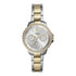 Fossil Izzy