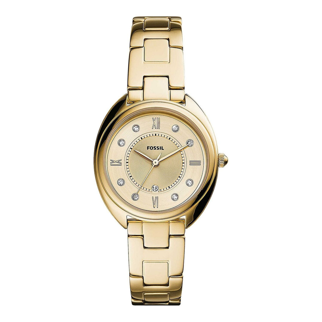 Fossil Jacqueline
