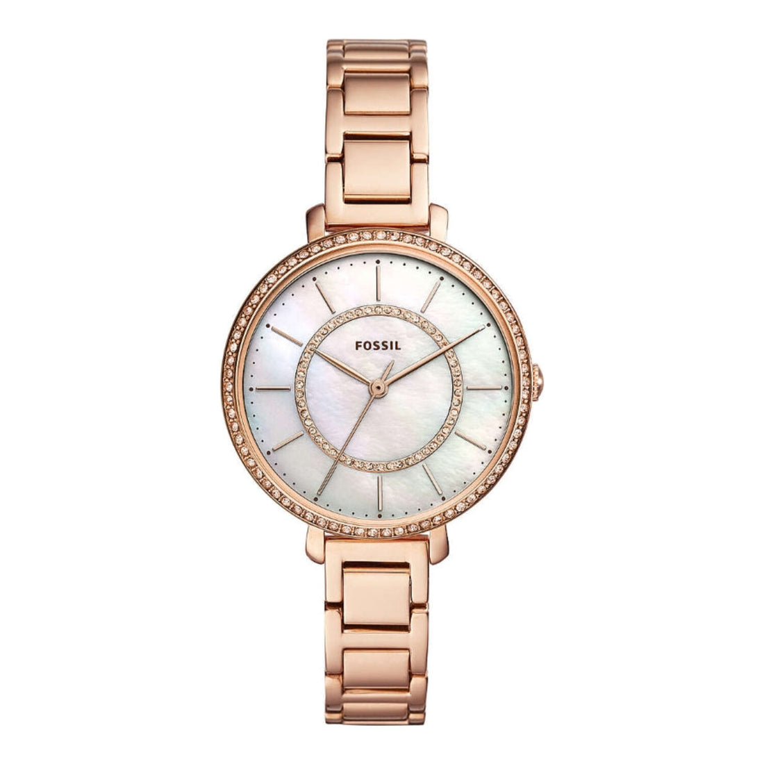 Fossil Jocelyn