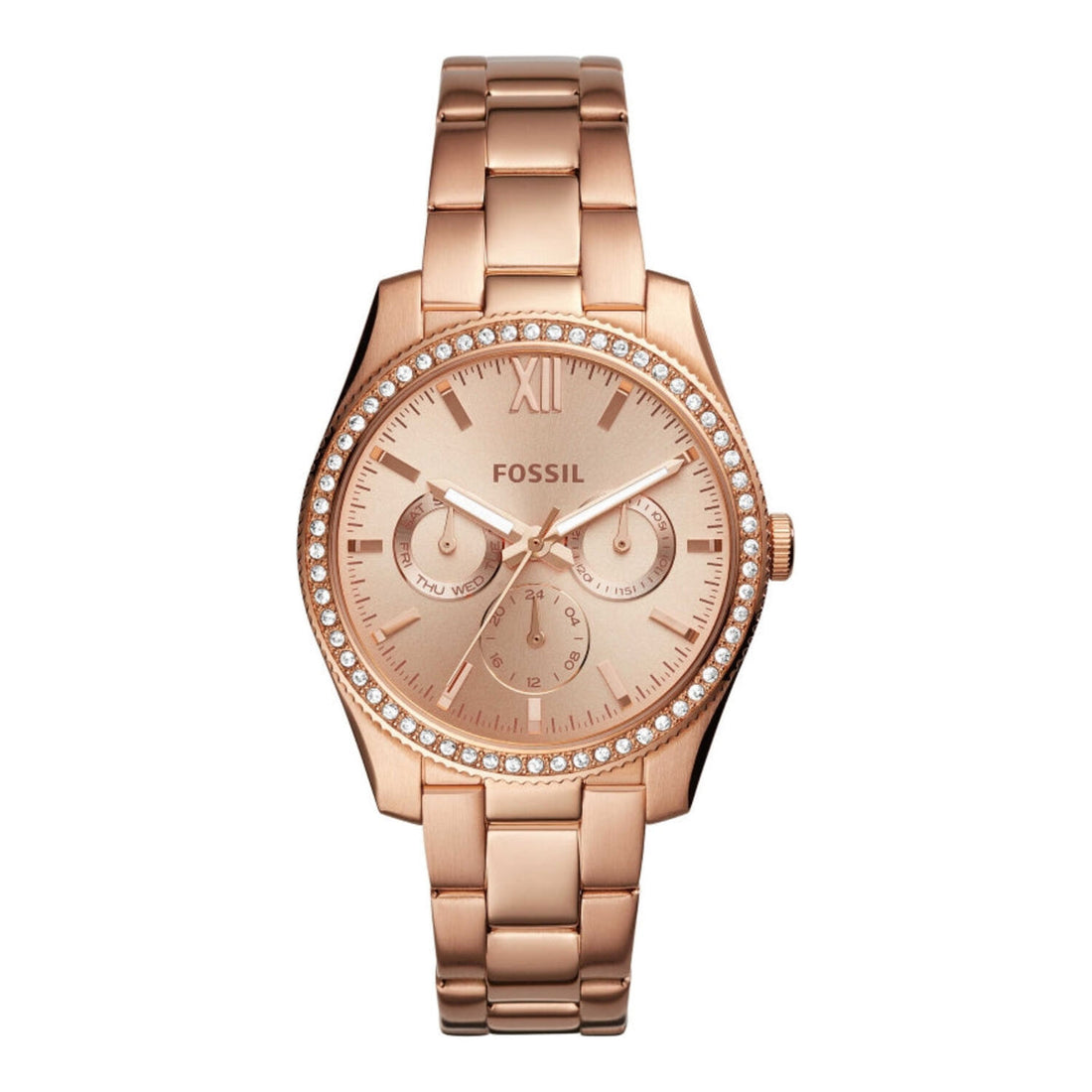 Fossil Scarlette