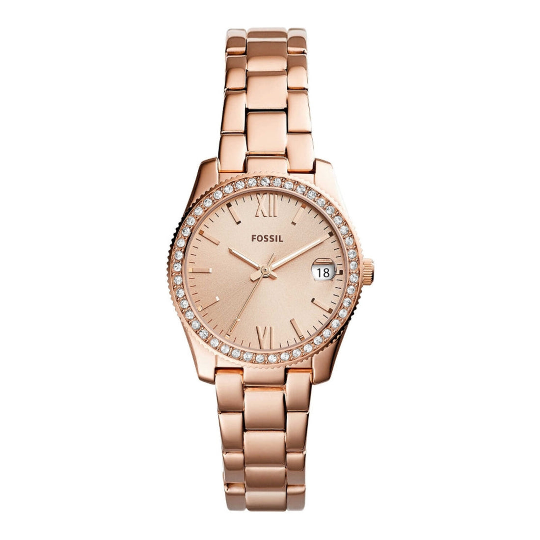Fossil Scarlette