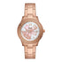 Fossil Stella