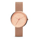 The Essentialist