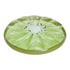 frucht floater kiwi
