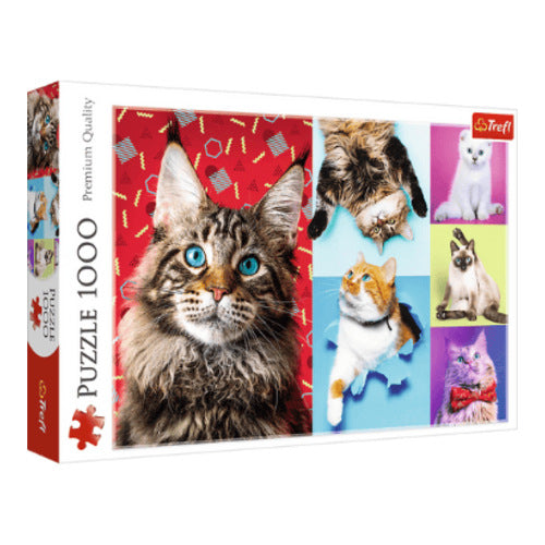 glueckliche katzen puzzle 1000 teile