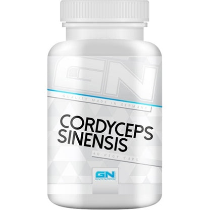 Gn Cordyceps Sinensis Health Line 60 Kapseln