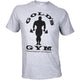 Golds Gym CSPT104 TShirt grau M