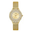 Classima Lady
