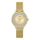 Classima Lady