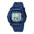 Casio Heavy Duty