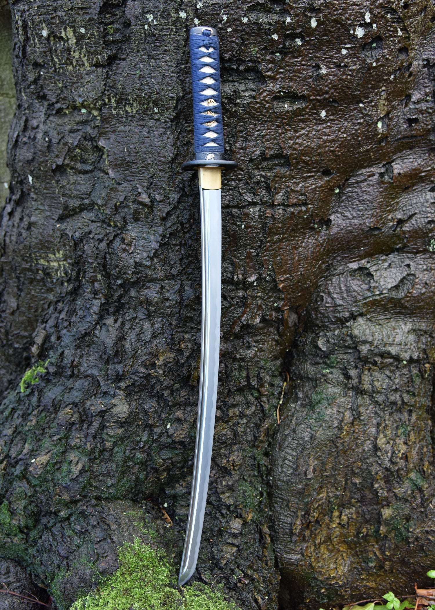 hanwei kaeru frosch wakizashi