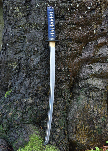 hanwei kaeru frosch wakizashi