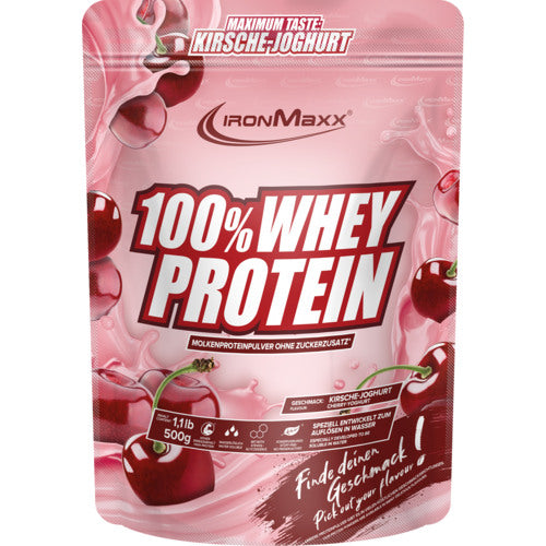 Ironmaxx 100 Whey Protein 500G Hazelnut