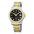 Jaguar Executive