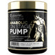 Kevin Levrone Anabolic on stage pump Sample 10x12,5g Dragon Fruit
