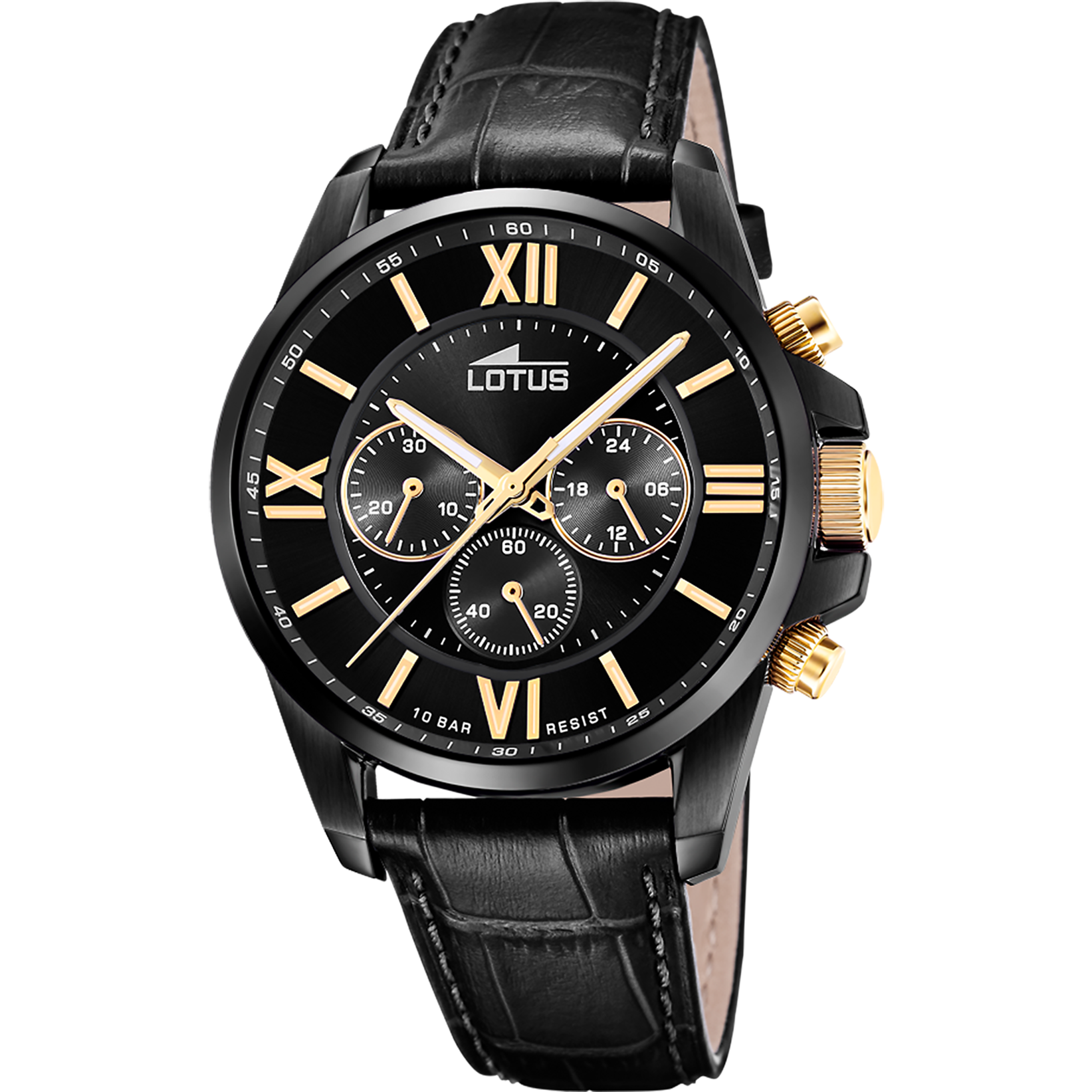 Lotus Santander Harbor GMT III