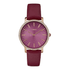 metropolitan starlight