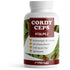 Profuel Cordyceps Vitalpilz 180 Kapseln