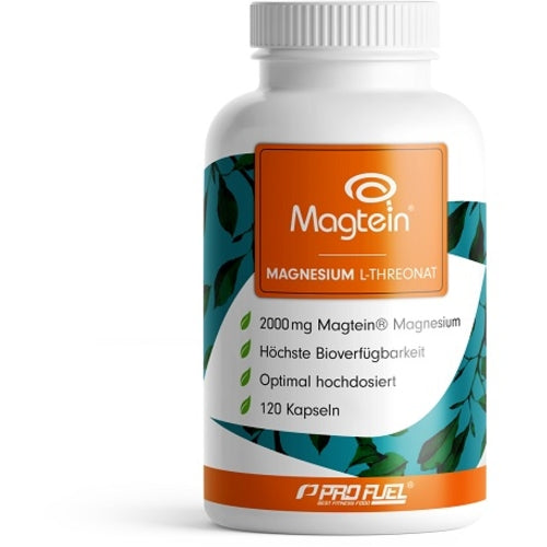 Profuel Magneisum L Threonat Magtein 120 Kapseln