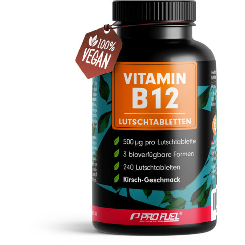 Profuel Vitamine B12 240 Pastilles Framboise