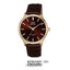 Montre analogique solaire S278J102Y