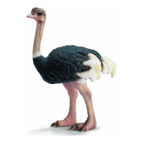 schleich strauss