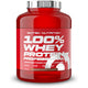 Scitec 100 Whey Professional 2350g ChocolateLight