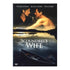 scoundrels wife dvd
