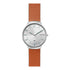 Skagen Denmark Grenen