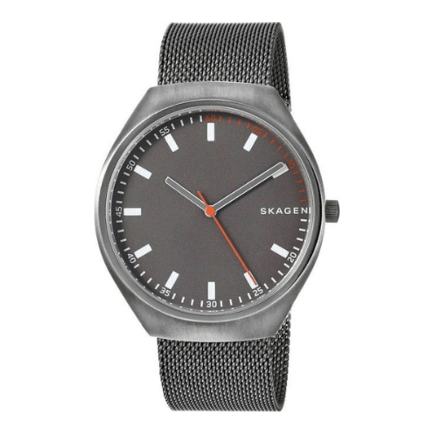Skagen Danemark Grenen Titane