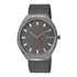 Skagen Denmark Grenen Titanium