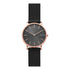 Skagen Denmark Hagen