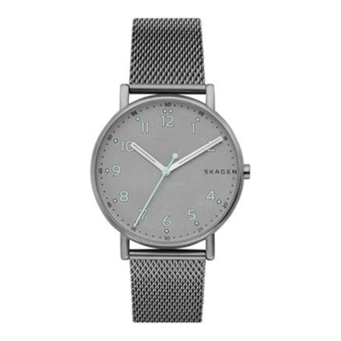 Skagen Denmark Signatur Titanium